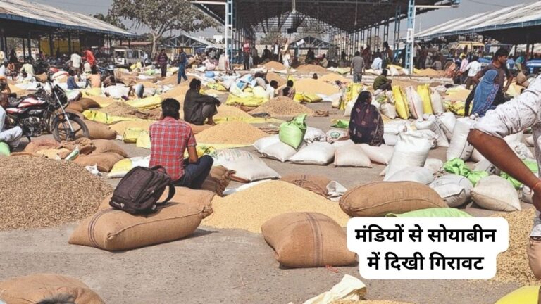 Soybean Mandi Bhav