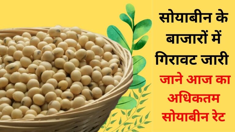 soybean aj ka mandi bhav