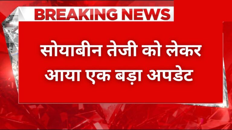 soybean teji ko lekar aaya bada update